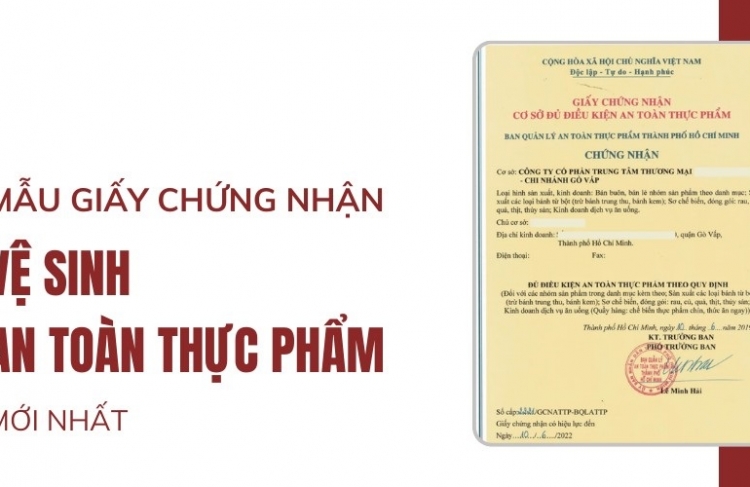 Giấy phép VSATTP